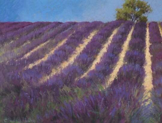 Lavender Rows — 11x16 cm