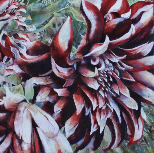 Dahlia de Giverny — 50x50 cm
