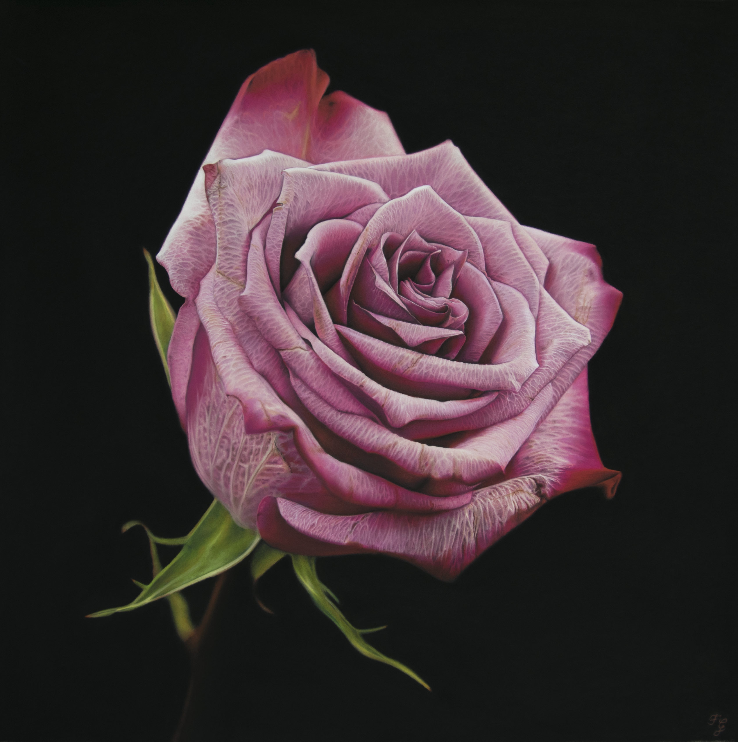 Pink Rose. Pastel on paper — 50x50 cm