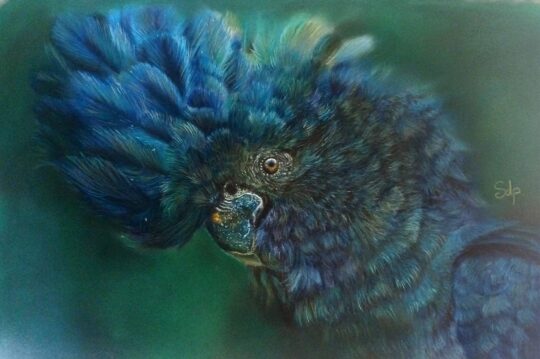 Blue — 50x65
770€